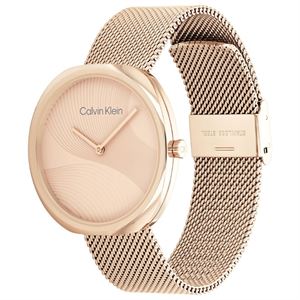ck25200247-2.jpg