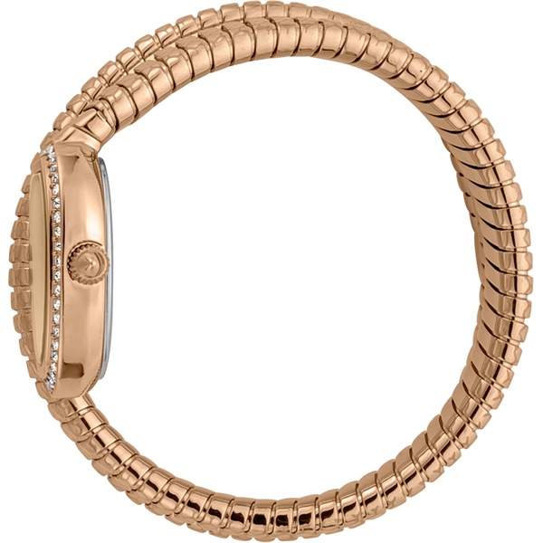 just-cavalli-jc1l163m0035_2.jpg