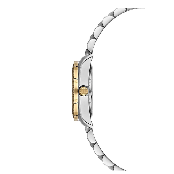 elegant-nacar-celik-sari-metal-band-kadin-kol-saati4532_12108_r3.jpg